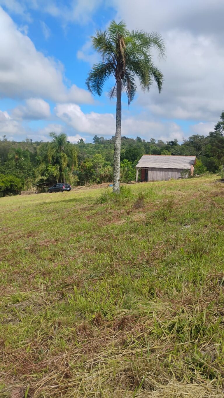 21f590de-cdab-44a7-8aef-98241fe48d06-1