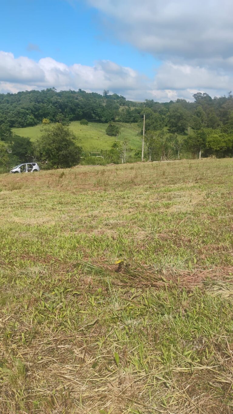 WhatsApp-Image-2026-01-12-at-19.50.36-1