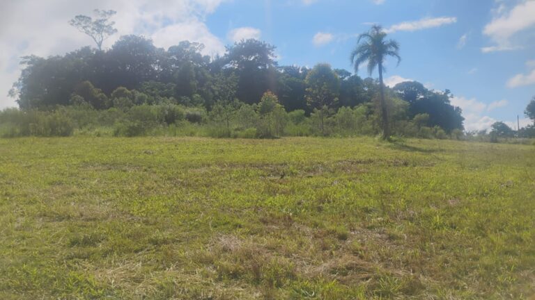 WhatsApp-Image-2026-01-12-at-19.50.36-2