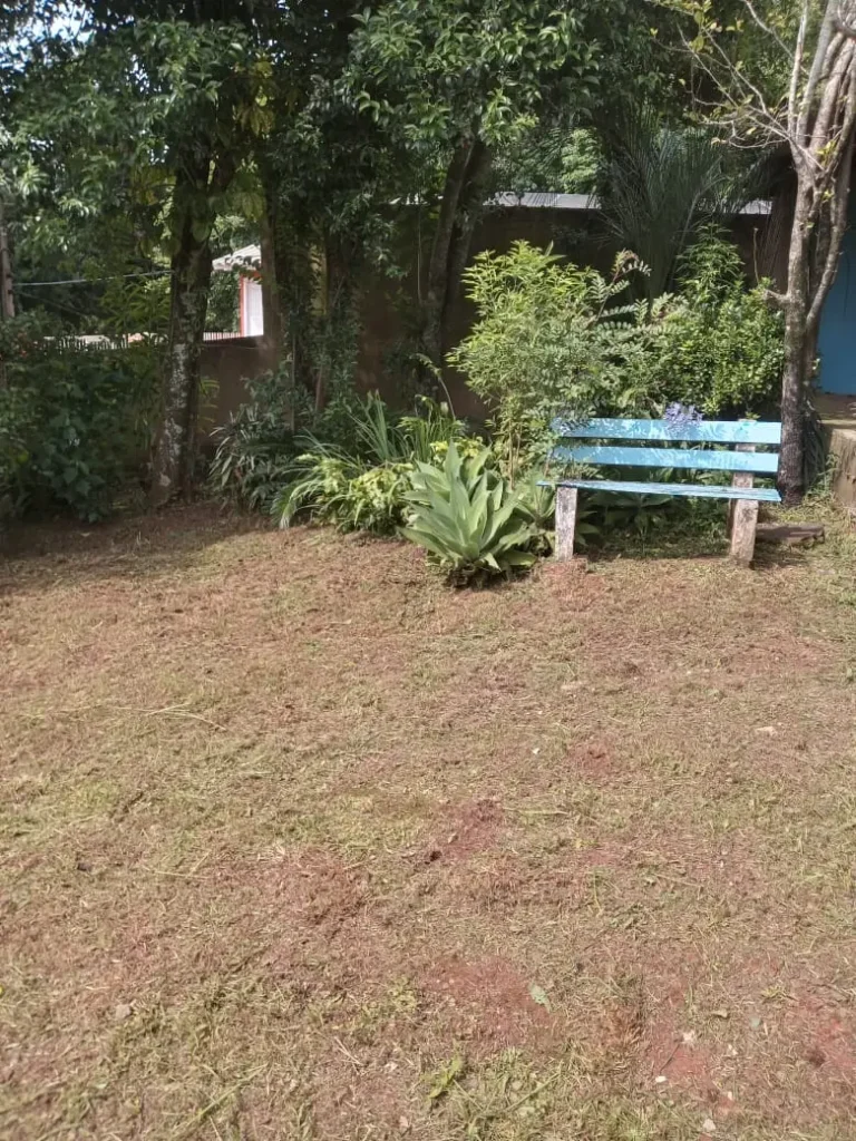1000205411